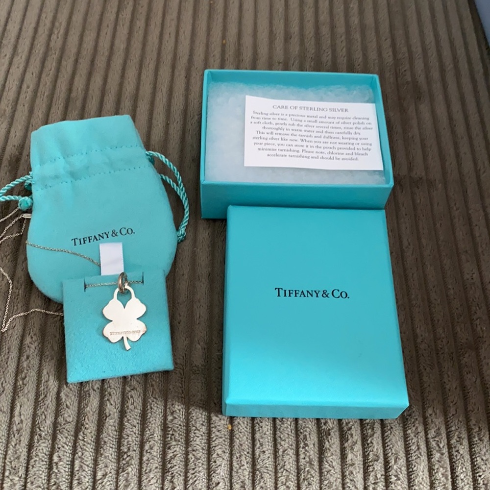 Authentic Tiffany & Co. sterling silver Necklace
